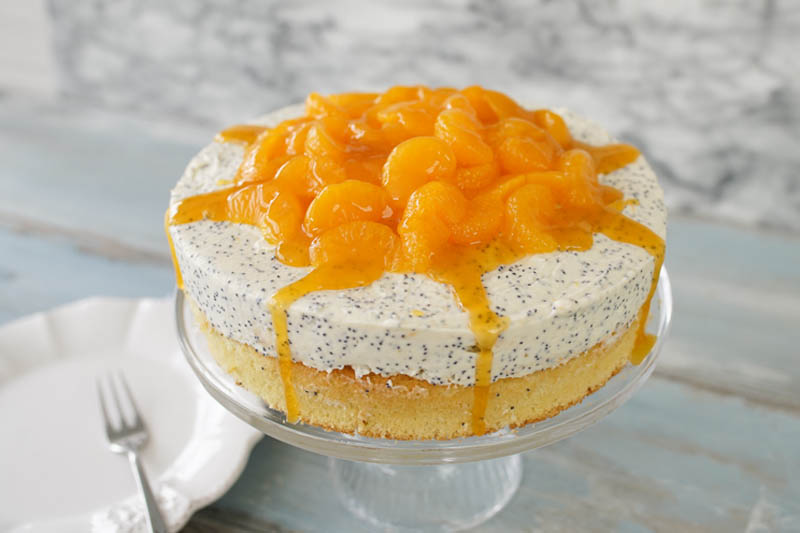 Mandarinen Quarktorte – fruchtig & frisch