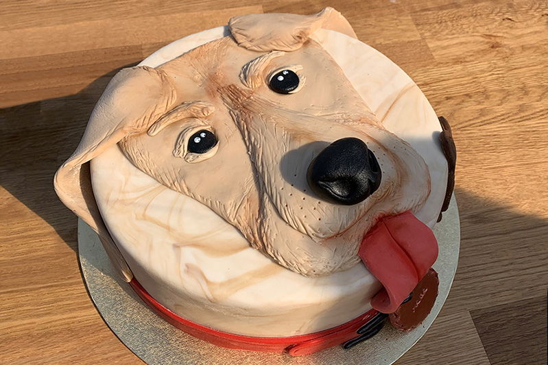 Glutenfreie Motivtorte für Emilia ZDF Fernsehgarten